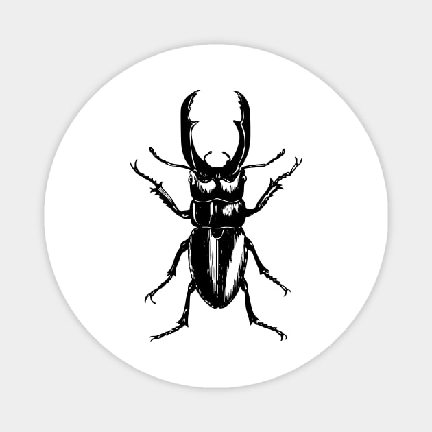 Beetle Magnet by xam